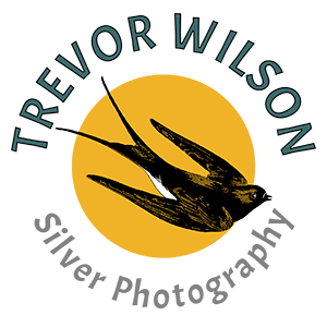 Wedding and Elopement Photographer in Scotland  Trevor Wilson